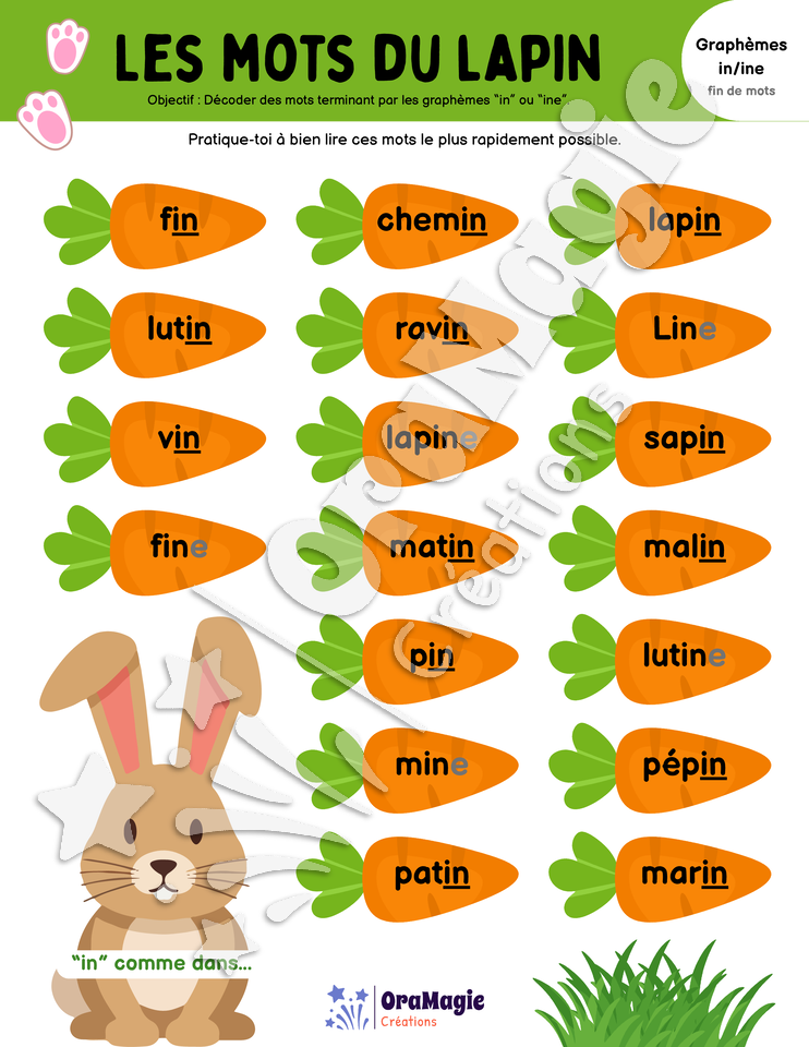 Les mots du lapin - Décodage de vrais mots contenant les graphèmes in-ine en position finale Les mots du lapin - Décodage de vrais mots contenant les graphèmes in-ine en position finale