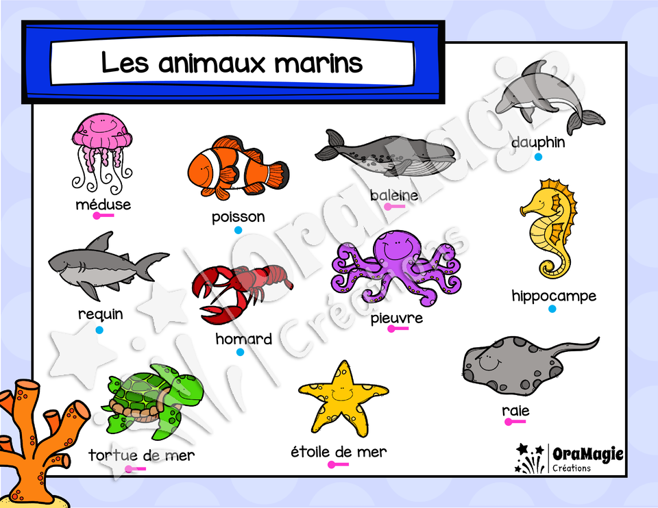 Catégorie en images - Les animaux marins