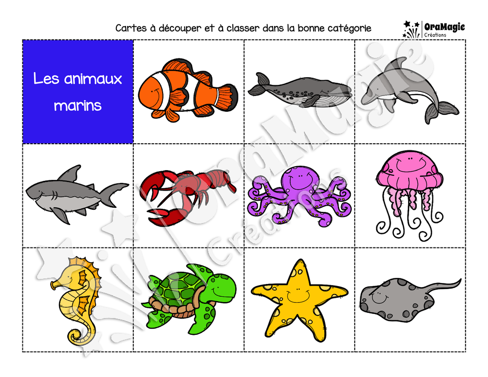 Catégorie en images - Les animaux marins