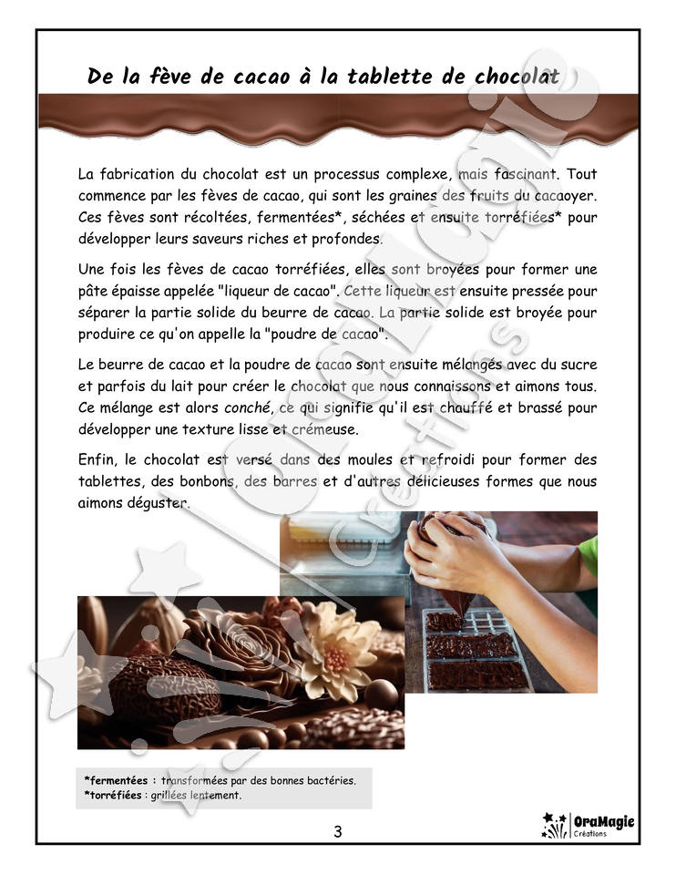 Le monde merveilleux du chocolat - Compréhension lecture 4e année