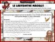Le labyrinthe magique Harry Potter - Types de déterminants - 5e et 6e année.pdf