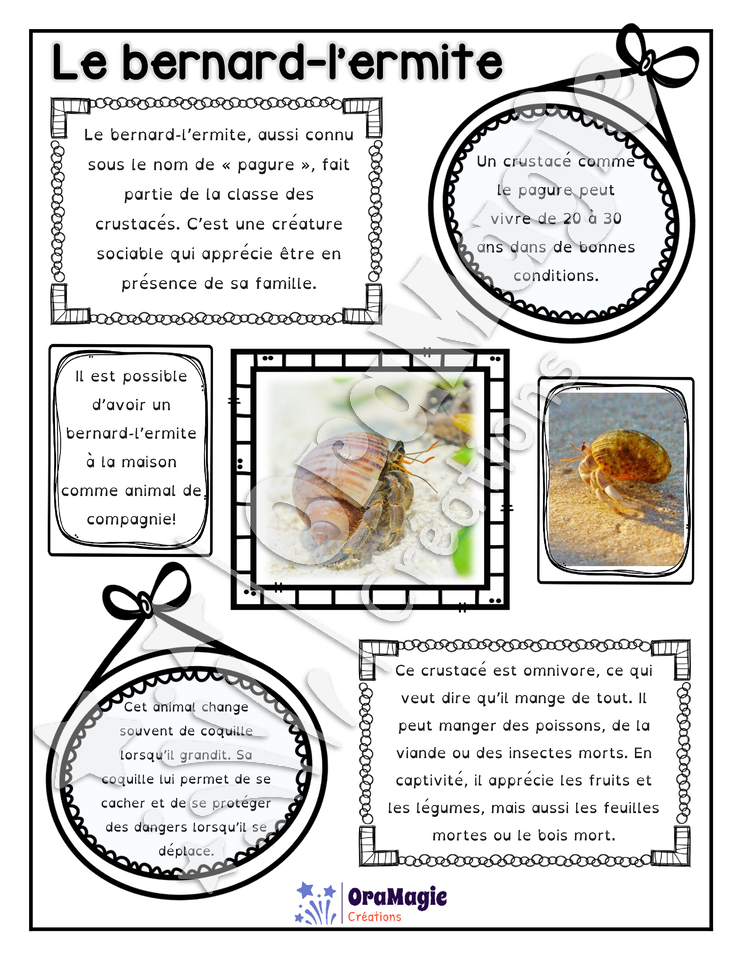 Comprendre un texte informatif - Texte le Bernard-l'Ermite - 2e année.pdf