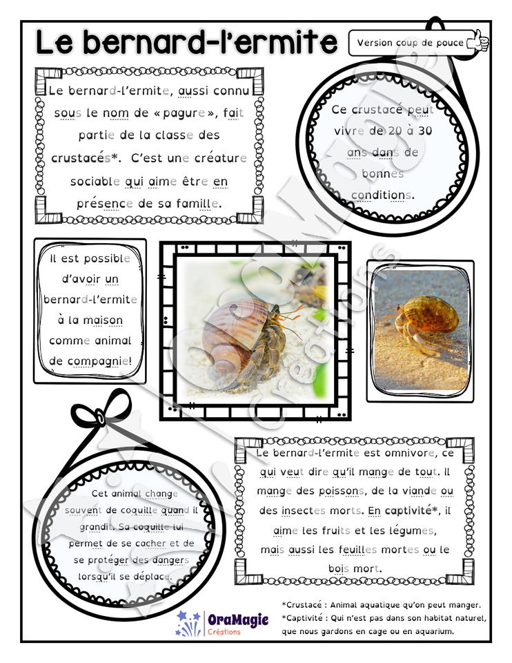 Comprendre un texte informatif - Le bernard-l'ermite