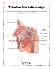 Les structures du visage - TOM - Référentiel - 4$.pdf