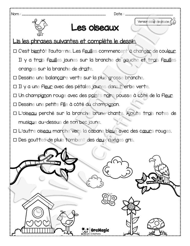 Compréhension de lecture - Lis et colorie - Les oiseaux
