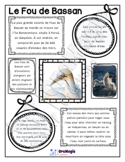 Comprendre un texte informatif - Texte le Fou de Bassan - 2e année.pdf