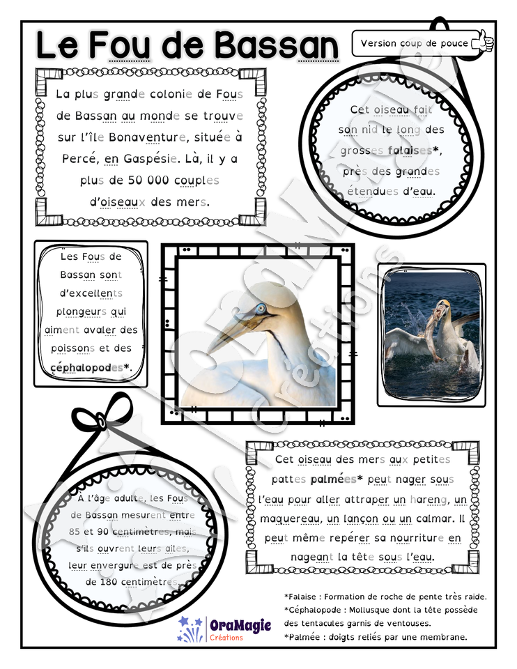 Comprendre un texte informatif - Texte le Fou de Bassan