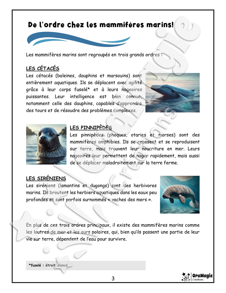 Les mammifères marins - Compréhension lecture 6e année - Texte courant - Préparation examen ministère