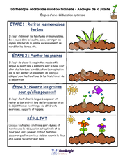 La thérapie oromyofonctionnelle - Analogie de la plante - 3$.pdf