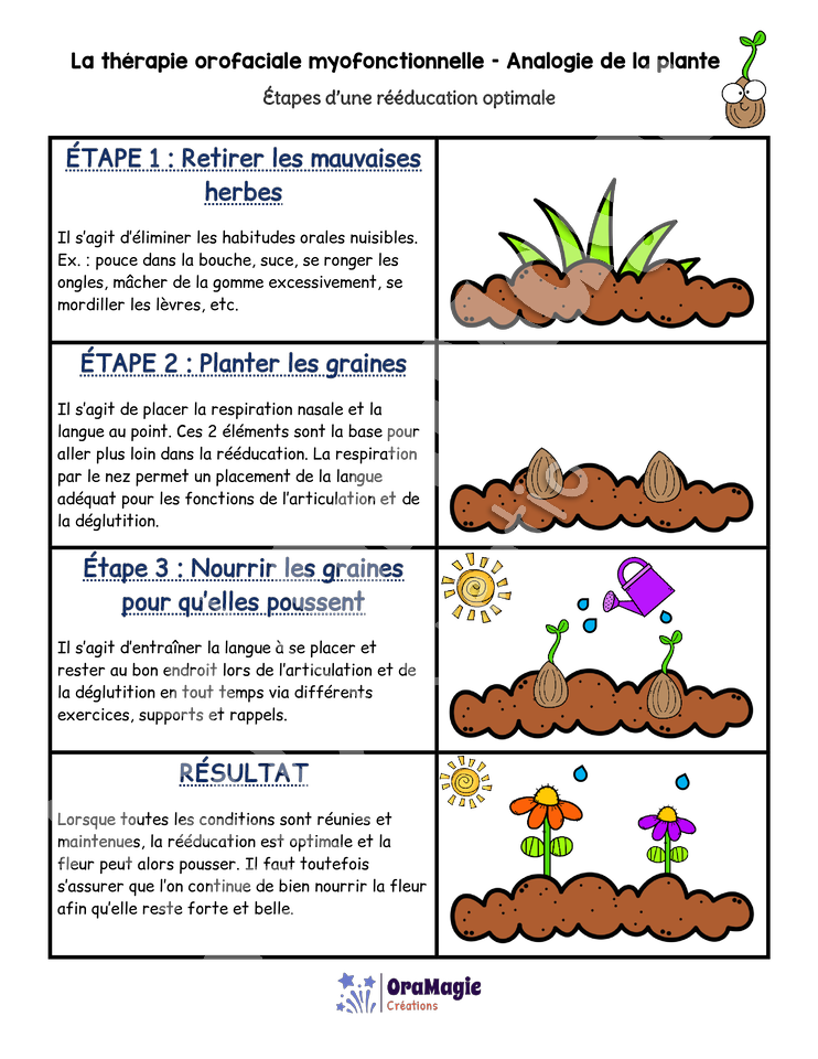 La thérapie oromyofonctionnelle - Analogie de la plante - 3$.pdf