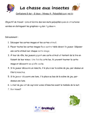 Confusions G dur - G doux - Niveau 4 - La chasse aux insectes.pdf