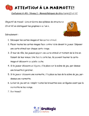 Confusions A-AN - Niveau 1 - Attention à la marmotte.pdf