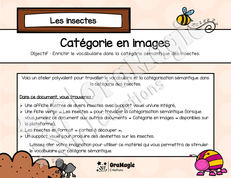 Catégorie en images - Les insectes.pdf