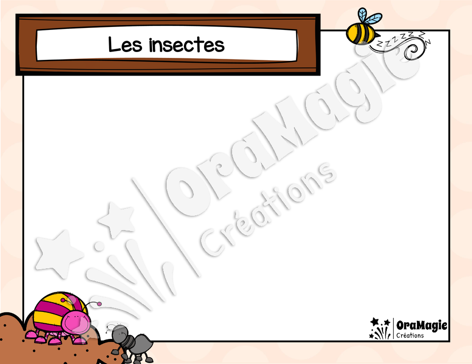 Catégorie en images - Les insectes