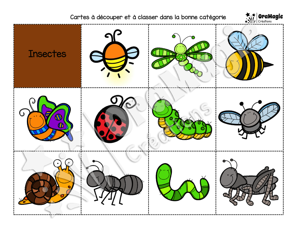 Catégorie en images - Les insectes