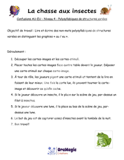 Confusions AU-EU - La chasse aux insectes_niveau 4.pdf