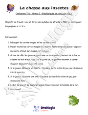 Confusions T-D - Niveau 3 - La chasse aux insectes.pdf