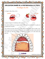 Capsule d'information - Posture buccale au repos - Analogie du lit - TOM - Collabo PH.pdf