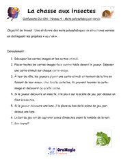 Confusions OU-ON - Niveau 4 - La chasse aux insectes.pdf