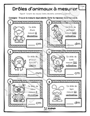 Des animaux à mesurer - Conversion de mesure - 3e année.pdf