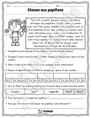 Collection lecture et grammaire - Chasse aux papillons.pdf