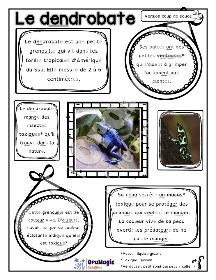 Comprendre un texte informatif - Texte le dendrobate