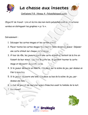 Confusions P-B - Niveau 4 - La chasse aux insectes.pdf