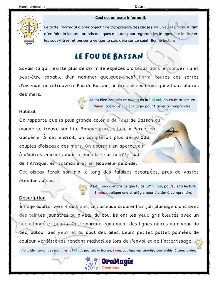Compréhension de texte - Le Fou de Bassan