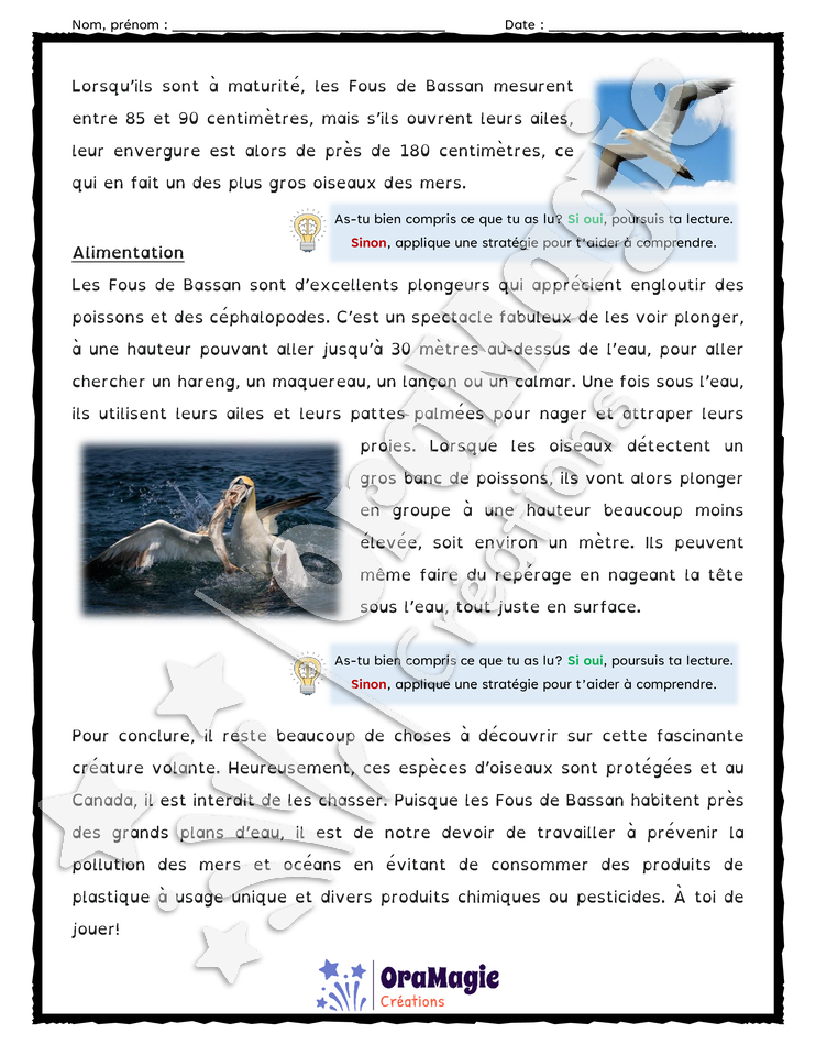 Compréhension de texte - Le Fou de Bassan