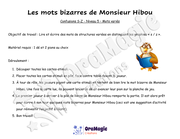 Confusions S-Z - Niveau 5 - Les mots bizarres de Monsieur Hibou.pdf