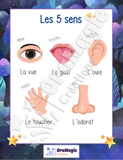 Affiche les 5 sens - Préscolaire (1).pdf