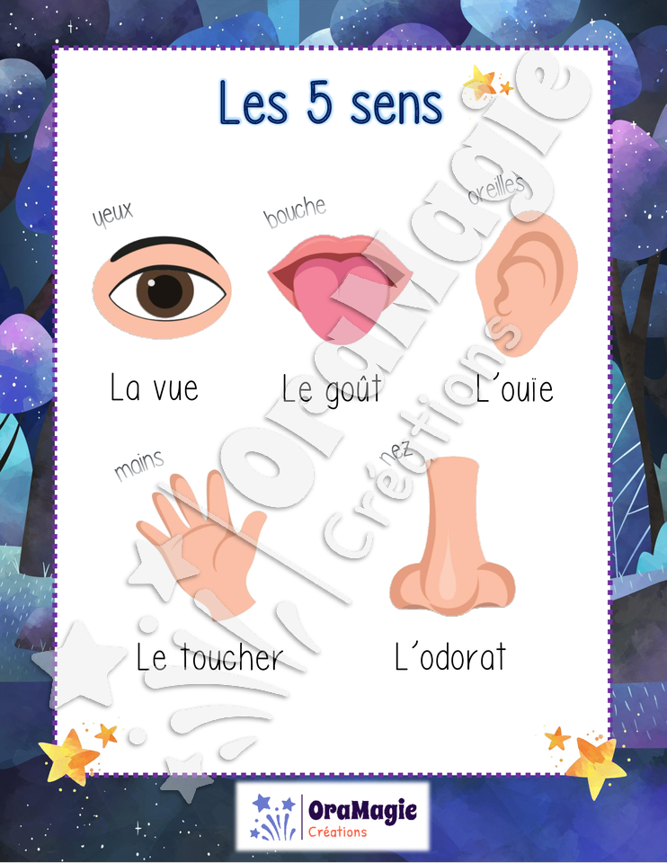 Affiche les 5 sens - Préscolaire (1).pdf