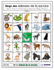 Bingo des animaux de la savane - 3 cartes - Collabo PH - 3$.pdf