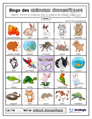 Bingo des animaux domestiques - 3 cartes - Collabo PH - 3$.pdf