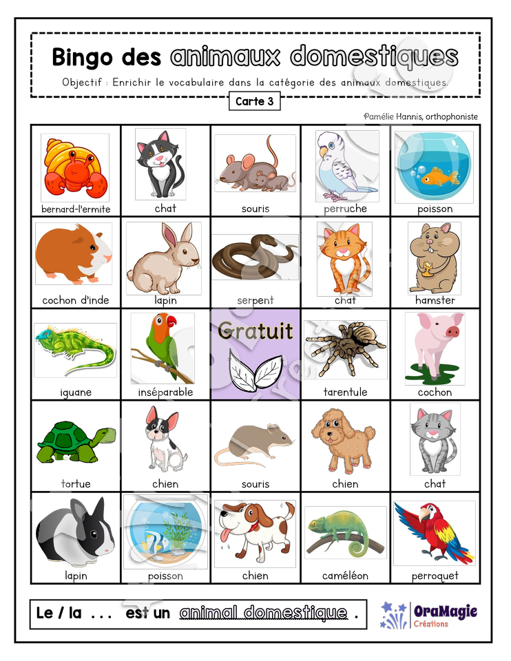 Bingo des animaux domestiques - 3 cartes