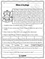Collection lecture et grammaire - Hibou à la plage - 3e et 4e année.pdf