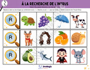 À la recherche de l’intrus - Identifier le son r dans des mots - Produit numérique