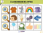 À la recherche de l’intrus - Identifier le son s dans des mots - Produit numérique