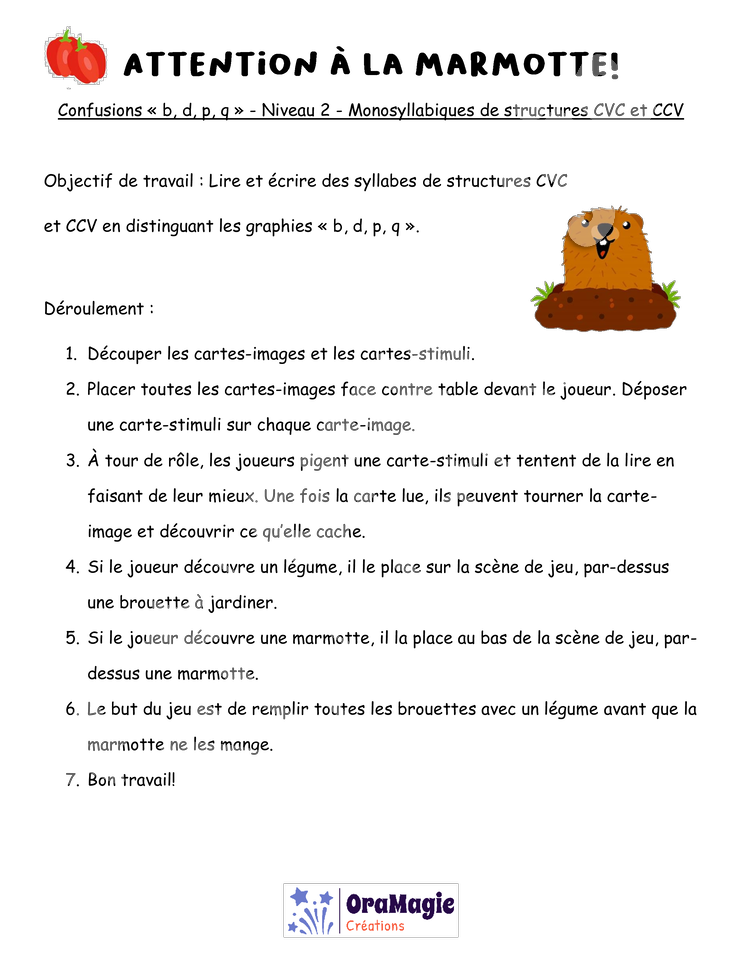 Confusions B-D-P-Q - Niveau 2 - Attention à la marmotte.pdf