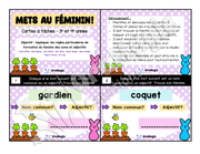 Cartes à tâches - Mets au féminin - Règles de formation du féminin noms et adjectifs - 3e année.pdf