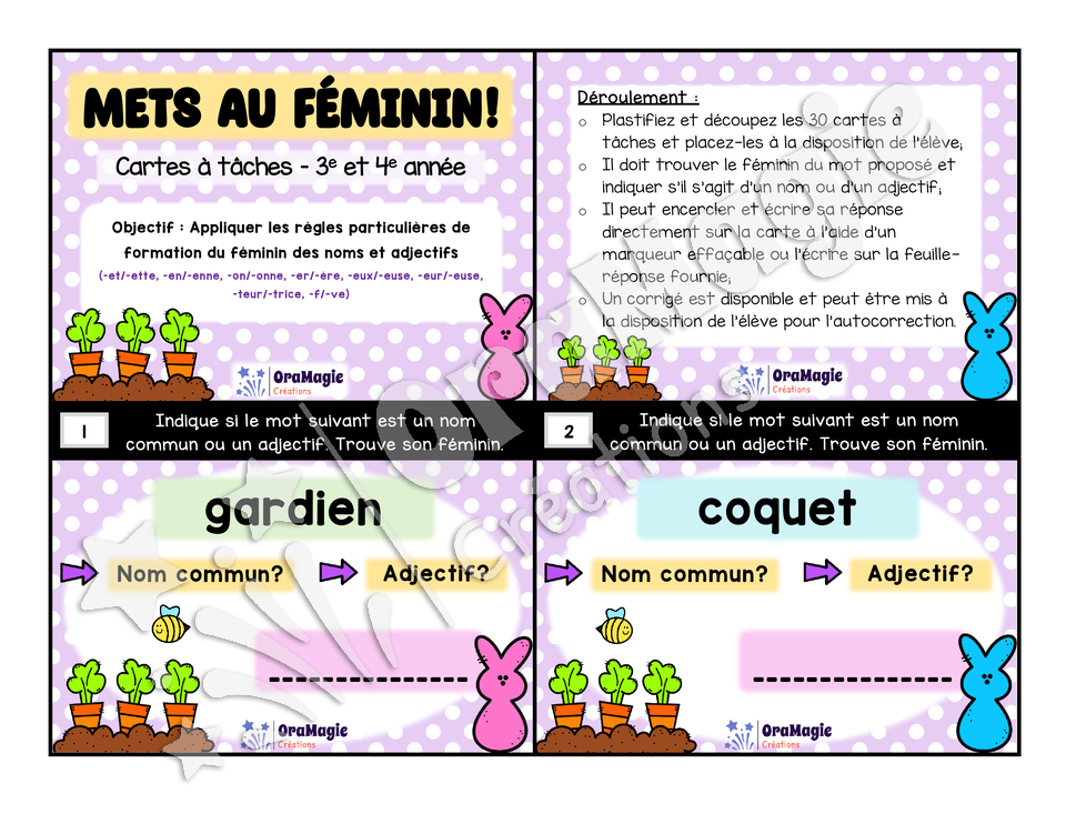 Cartes à tâches - Mets au féminin - Règles de formation du féminin noms et adjectifs - 3e année.pdf