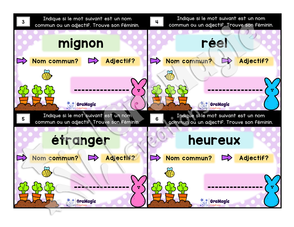 Cartes à tâches - Mets au féminin - Règles de formation du féminin noms et adjectifs