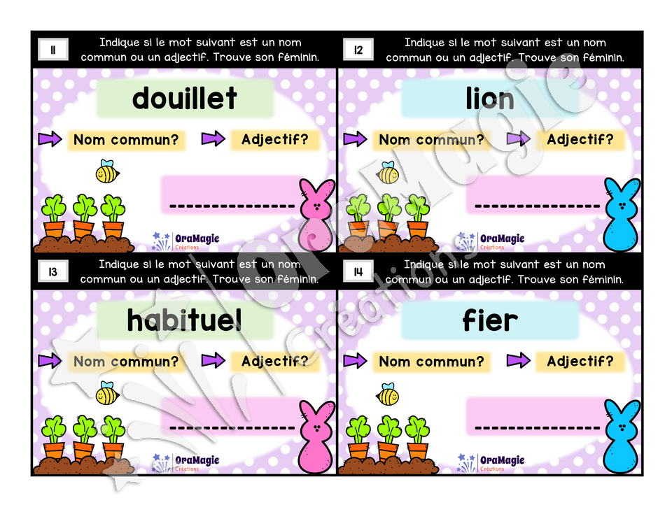 Cartes à tâches - Mets au féminin - Règles de formation du féminin noms et adjectifs