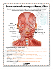 Les muscles du visage et leurs rôles - Affiche - référentiel TOM - 4$.pdf
