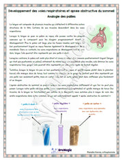 Capsule d’information - Analogie des pailles - Développement des voies respiratoires - Produit numérique