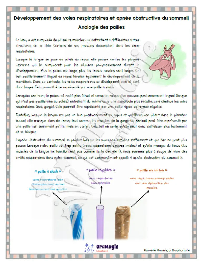 Capsule d’information - Analogie des pailles - Développement des voies respiratoires - Produit numérique