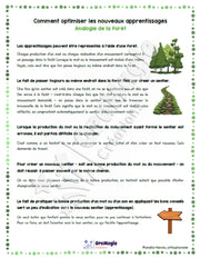 Capsule d’information - Comment optimiser les nouveaux apprentissages - Analogie de la forêt - Produit numérique