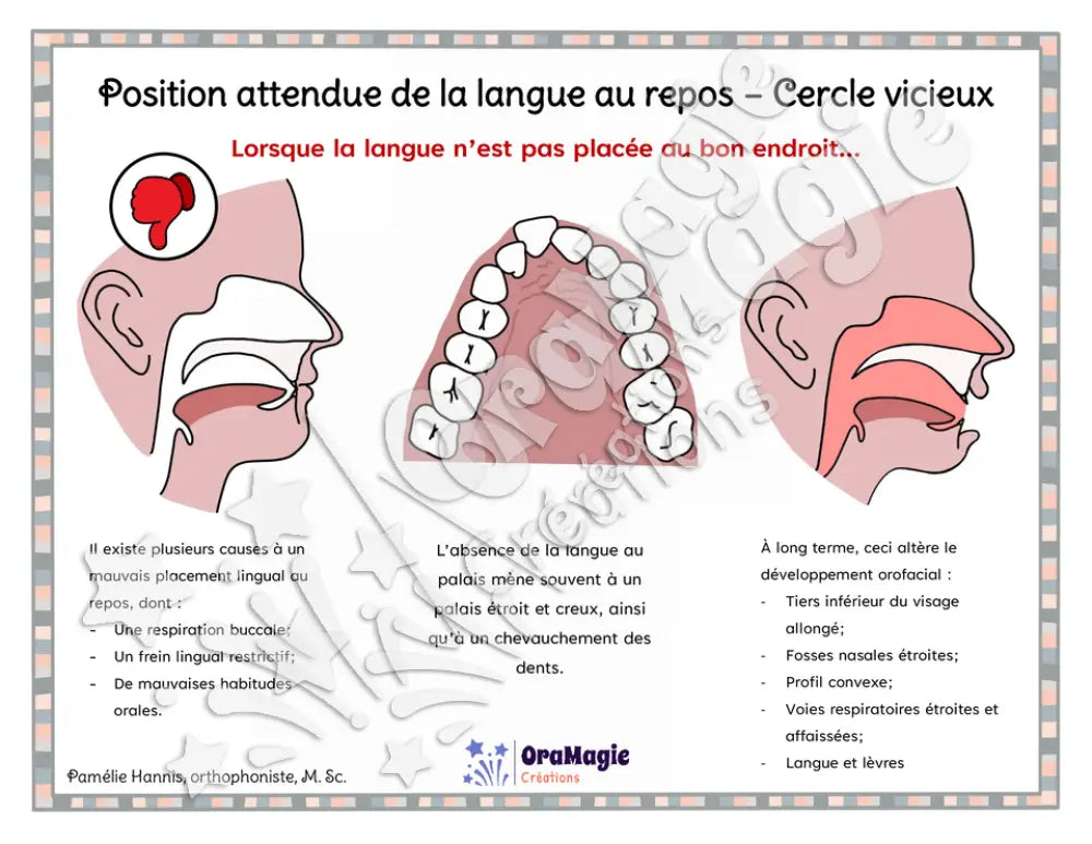 Capsule d'information - Position attendue de la langue au repos - Cercle vicieux