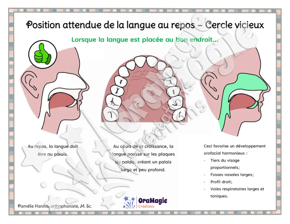 Capsule d'information - Position attendue de la langue au repos - Cercle vicieux - Collabo PH - TOM.pdf