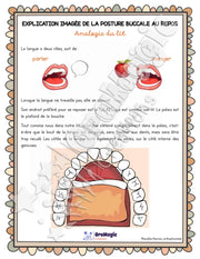 Capsule d'information - Posture buccale au repos - Analogie du lit - TOM - Collabo PH.pdf